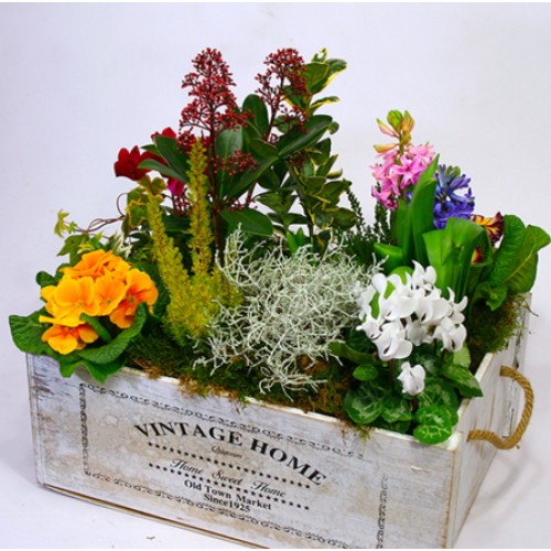 Spring treasure garden XL